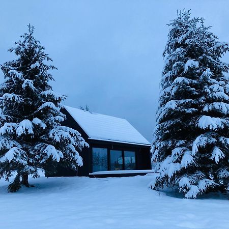 Вилла Laba Lasowka Экстерьер фото