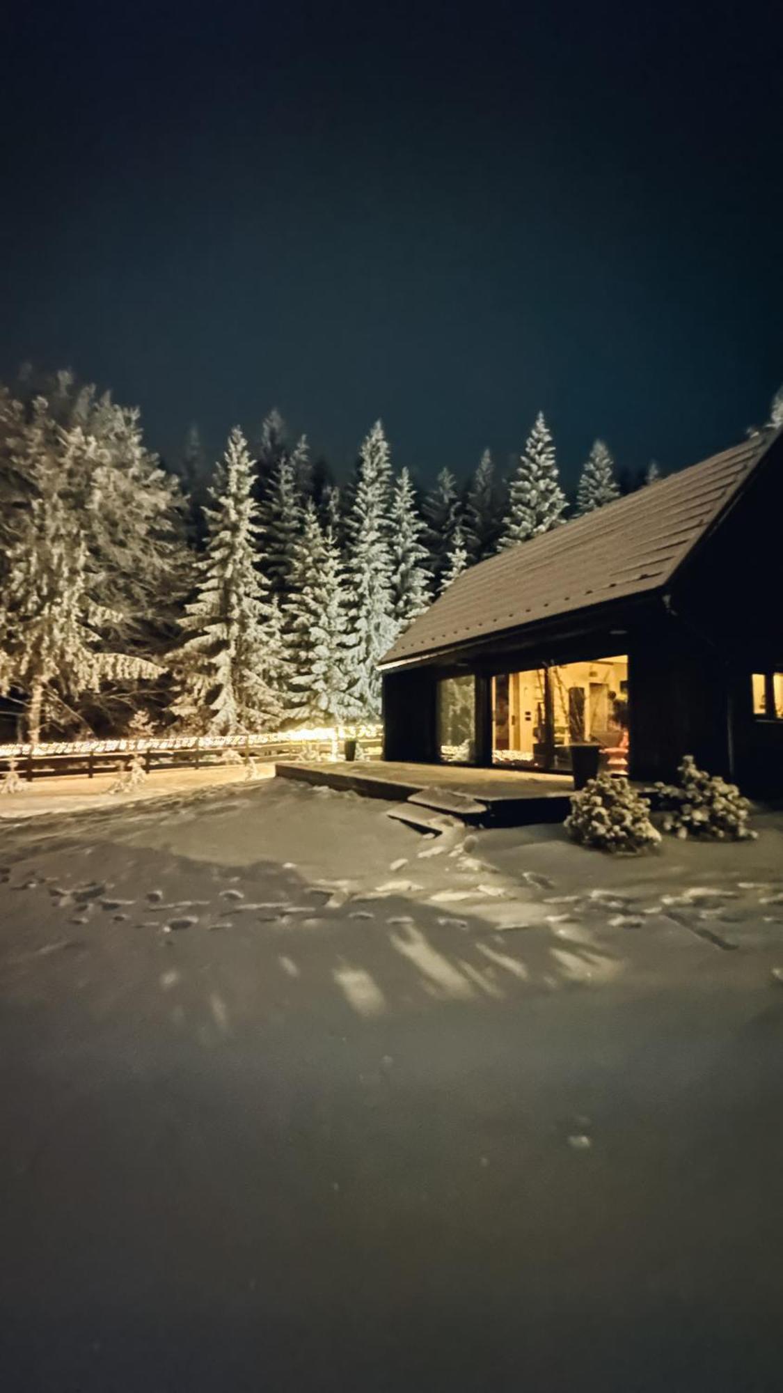 Вилла Laba Lasowka Экстерьер фото